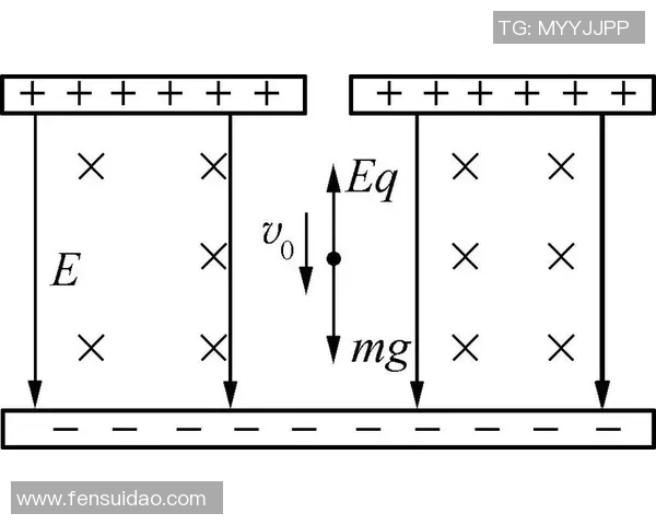 上海乒乓球队的速度之道与技术创新探讨 上海乒乓球队的速度之道与技术创新探讨