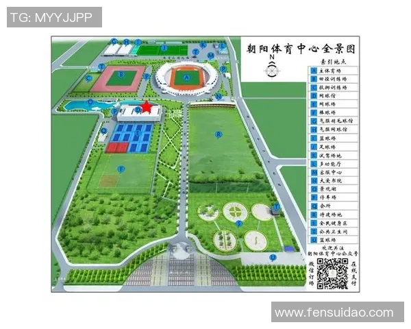杭州网球队的拼搏历程与荣耀时刻全景回顾