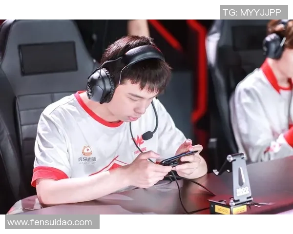 王者荣耀深度解析：探讨WE战队的团队协作与战术配合之道