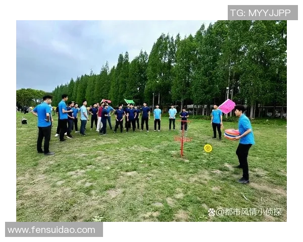 飞盘技术的深度剖析与杭州飞盘队的成长之路 飞盘技术的深度剖析与杭州飞盘队的成长之路