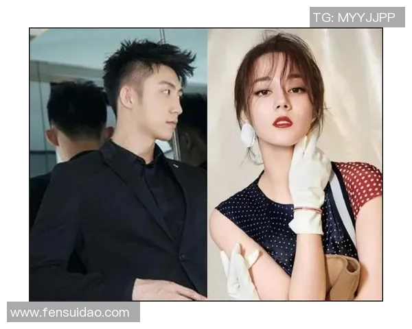 南北明星对决2018年谁才是更受欢迎的偶像之争与魅力分析