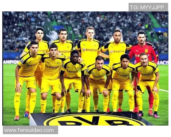 多特蒙德主场迎战费雷堡期待精彩对决与进球盛宴 多特蒙德主场迎战费雷堡期待精彩对决与进球盛宴