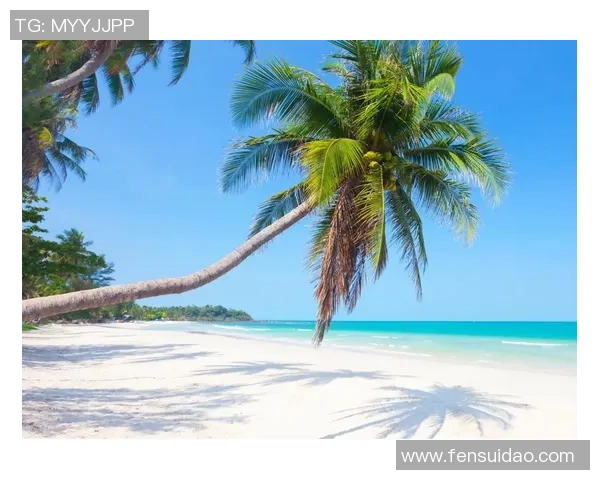 探索阿拉巴的历史文化与自然风光之美,感受独特的地域魅力与人文情怀 探索阿拉巴的历史文化与自然风光之美,感受独特的地域魅力与人文情怀